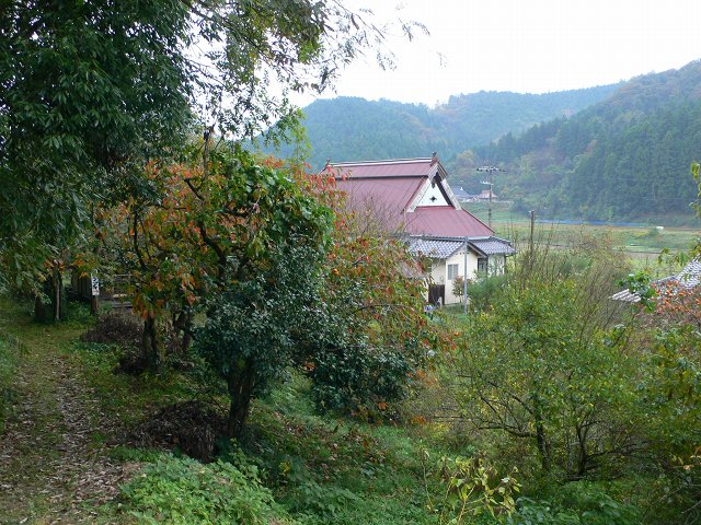 b0042882_23565149.jpg