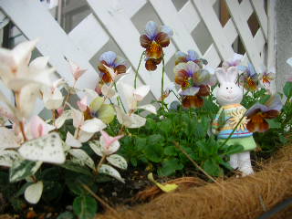 c0029190_0164031.jpg