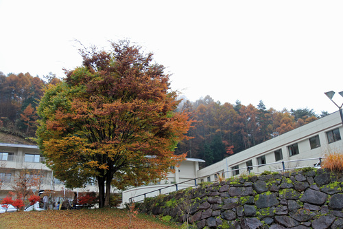 b0151893_16332189.jpg
