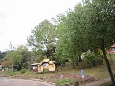 a0137294_2221101.jpg