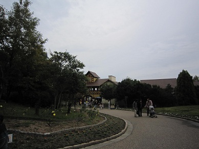 a0137294_22224227.jpg