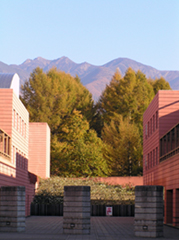b0184205_0503190.jpg