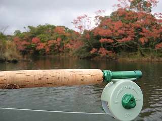 d0145806_2001168.jpg