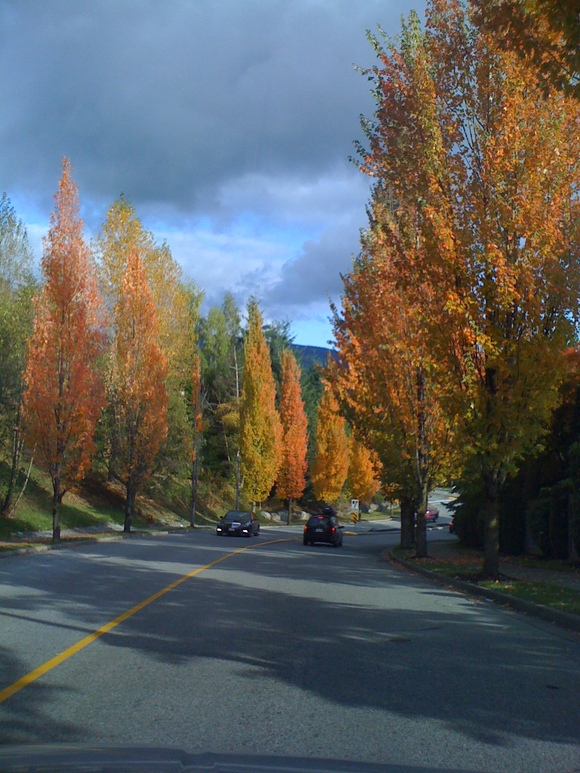 e0247410_362624.jpg