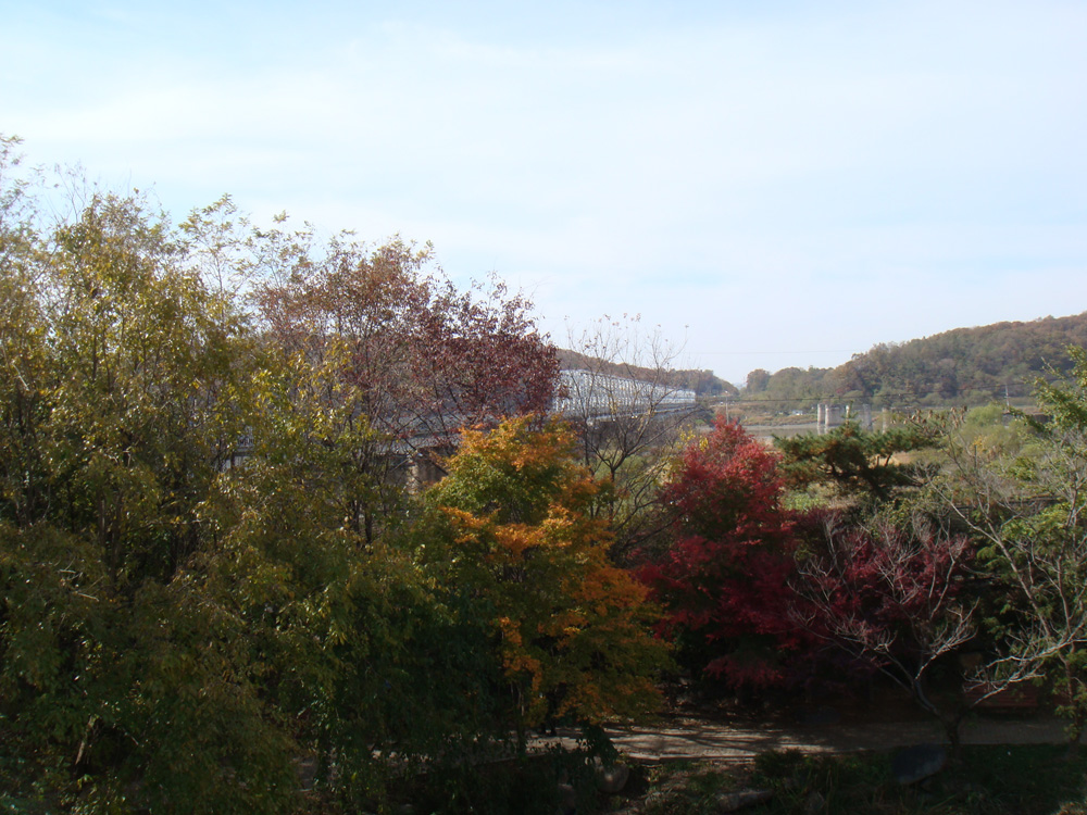a0019212_1275259.jpg