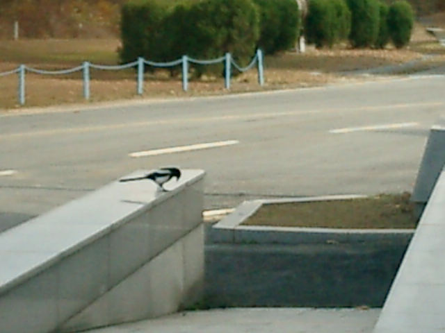 a0019212_17842100.jpg