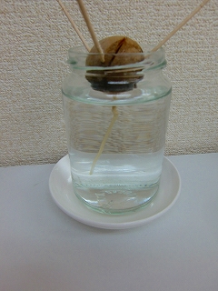 b0073616_20341617.jpg
