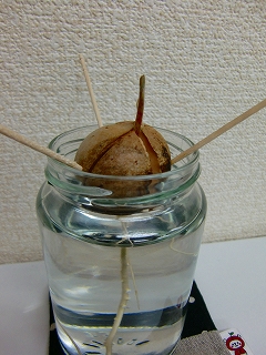 b0073616_20381479.jpg