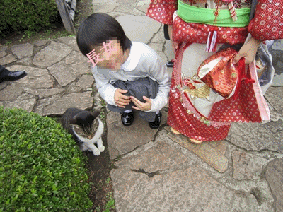 b0167519_158239.gif