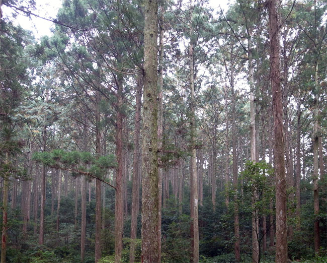 a0133220_712646.jpg