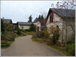 b0019820_23455777.jpg