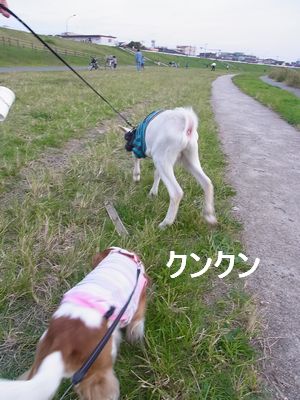 f0214121_21211760.jpg