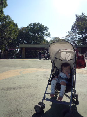 f0178622_22125930.jpg
