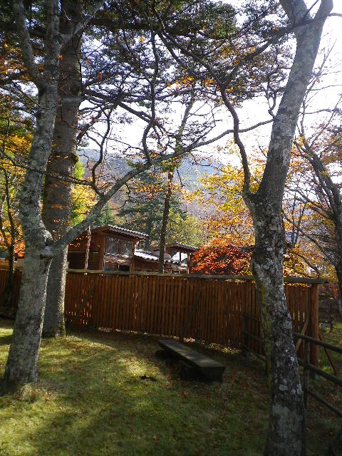 d0193224_23383359.jpg