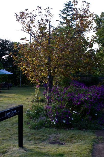 e0021328_0243227.jpg