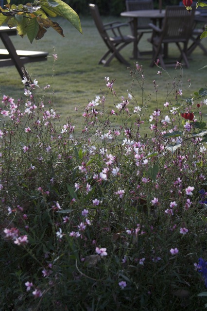 e0021328_13213362.jpg