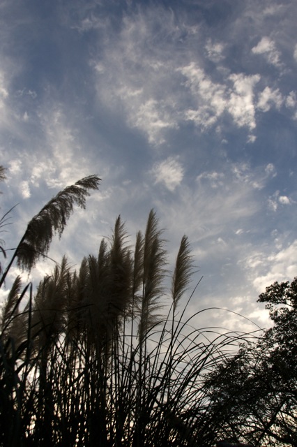 e0021328_13413031.jpg