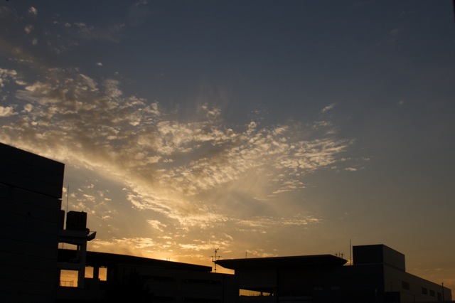 e0021328_1341559.jpg