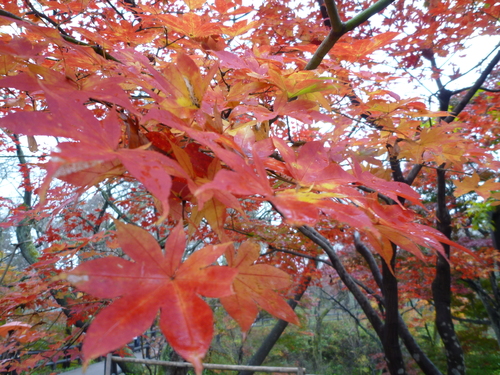 b0138430_11281548.jpg