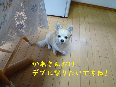 b0138430_12232720.jpg