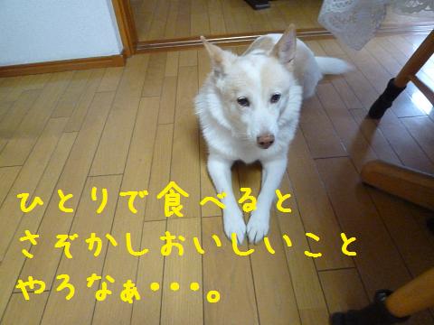 b0138430_12233770.jpg