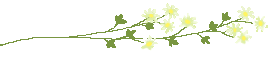c0123031_502120.gif