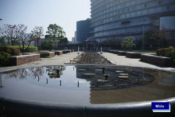 c0227134_855832.jpg