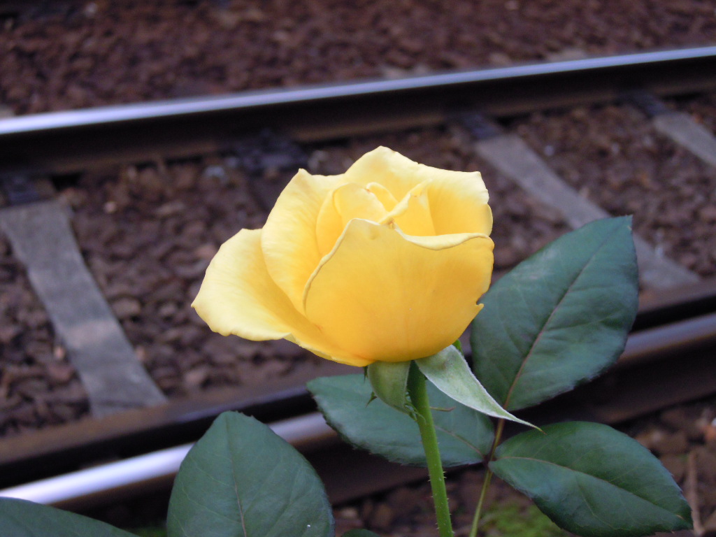 e0081334_2229924.jpg