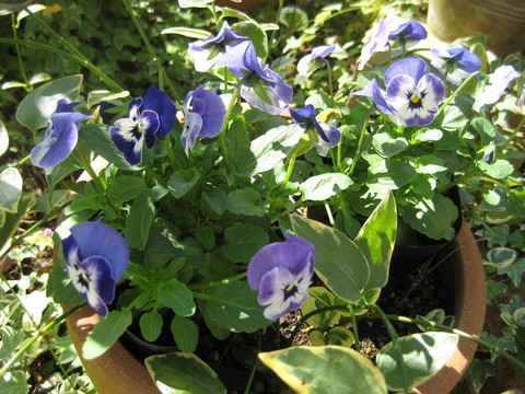 f0061334_2161931.jpg
