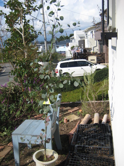 f0061334_2184597.jpg