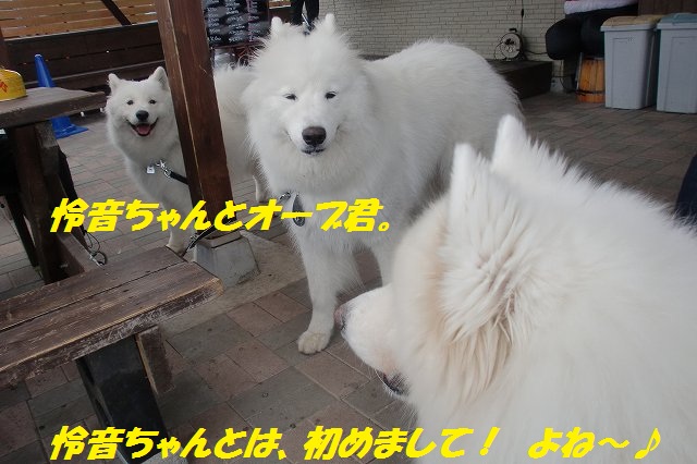 e0196135_0224283.jpg