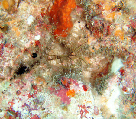 f0014842_1721250.jpg