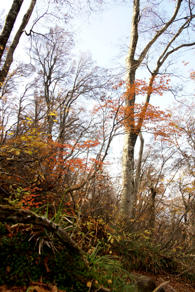 f0214649_5554276.jpg