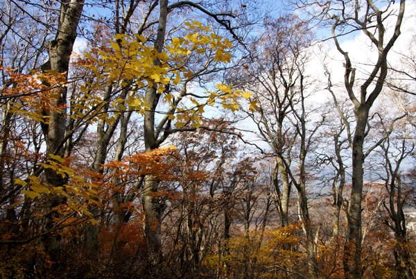 f0214649_5595091.jpg