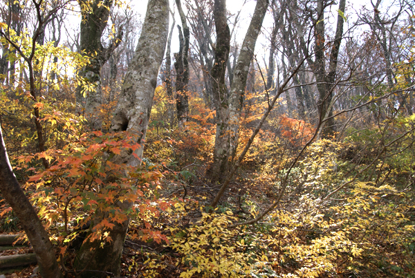 f0214649_602280.jpg