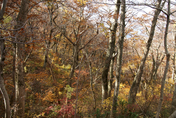 f0214649_611197.jpg