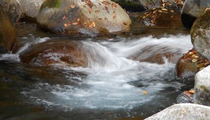 b0220251_6491555.jpg