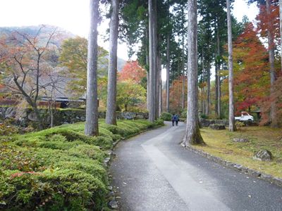 b0220251_655450.jpg