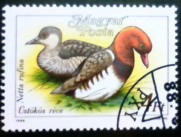 c0136654_19302630.jpg