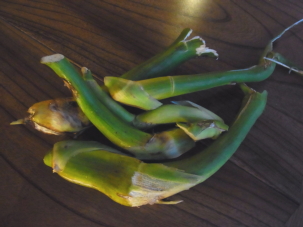 c0224154_110522.jpg