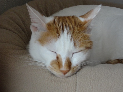f0046854_2239310.jpg