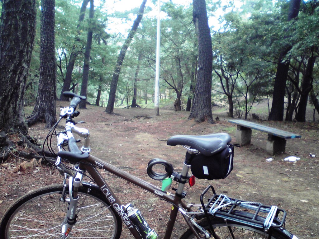 f0057955_7371835.jpg