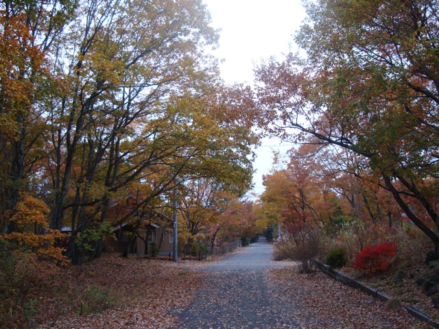 f0198556_1674910.jpg