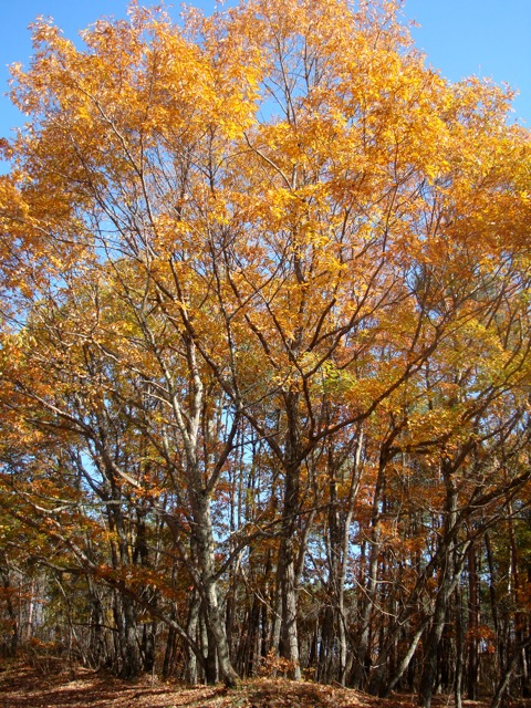 f0198556_17363429.jpg