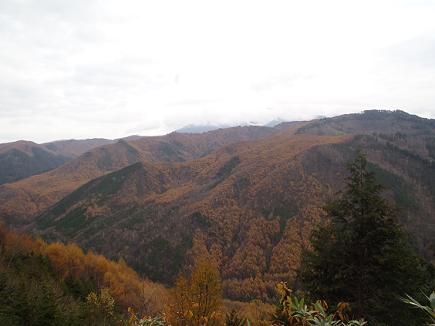 e0044657_16383815.jpg