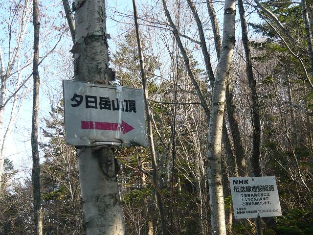 e0122168_802660.jpg