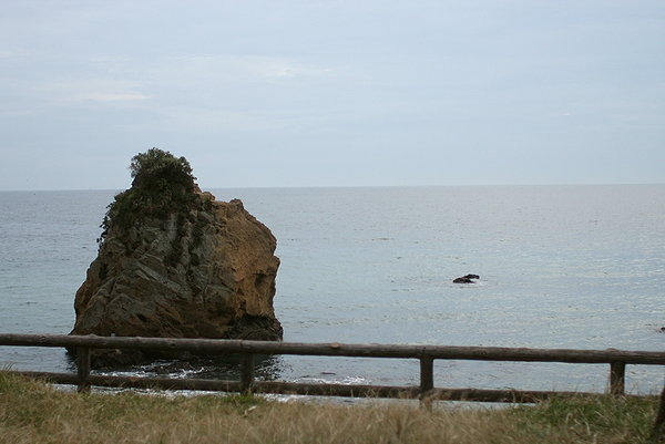 b0069169_1710969.jpg