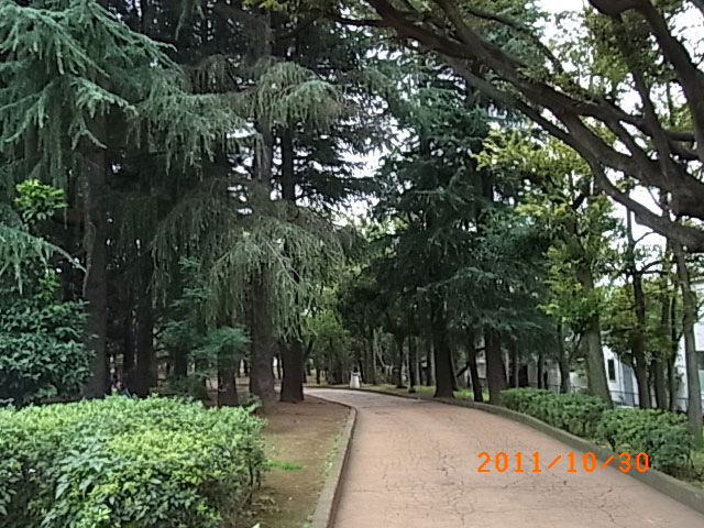e0097770_22181669.jpg