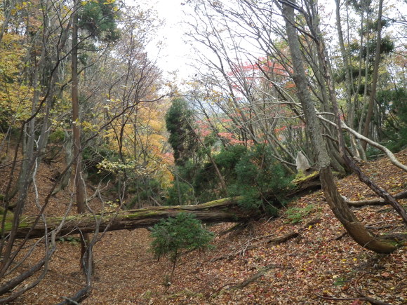 c0019376_20572830.jpg