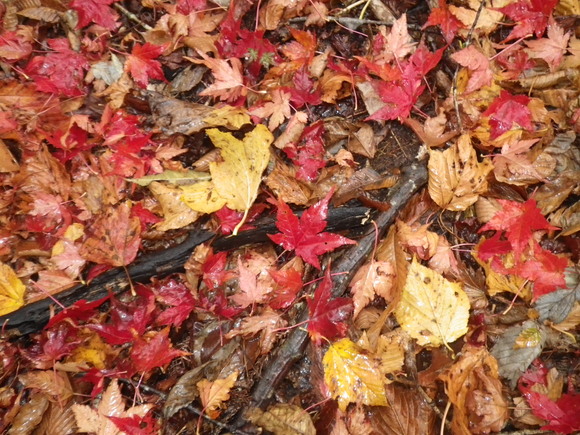 c0019376_218575.jpg